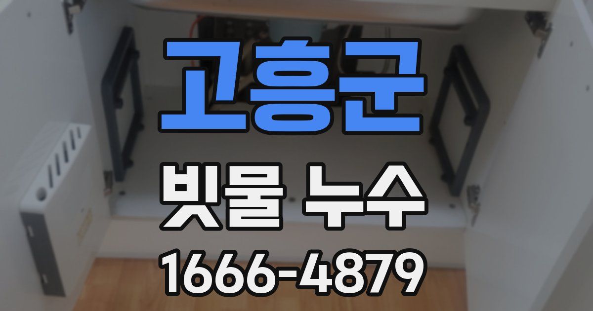 고흥군 빗물 누수