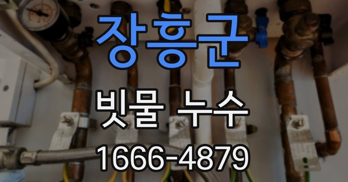 장흥군 빗물 누수