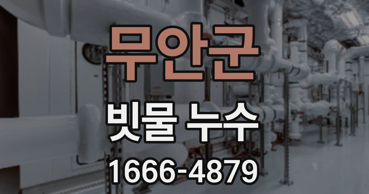 무안군 빗물 누수