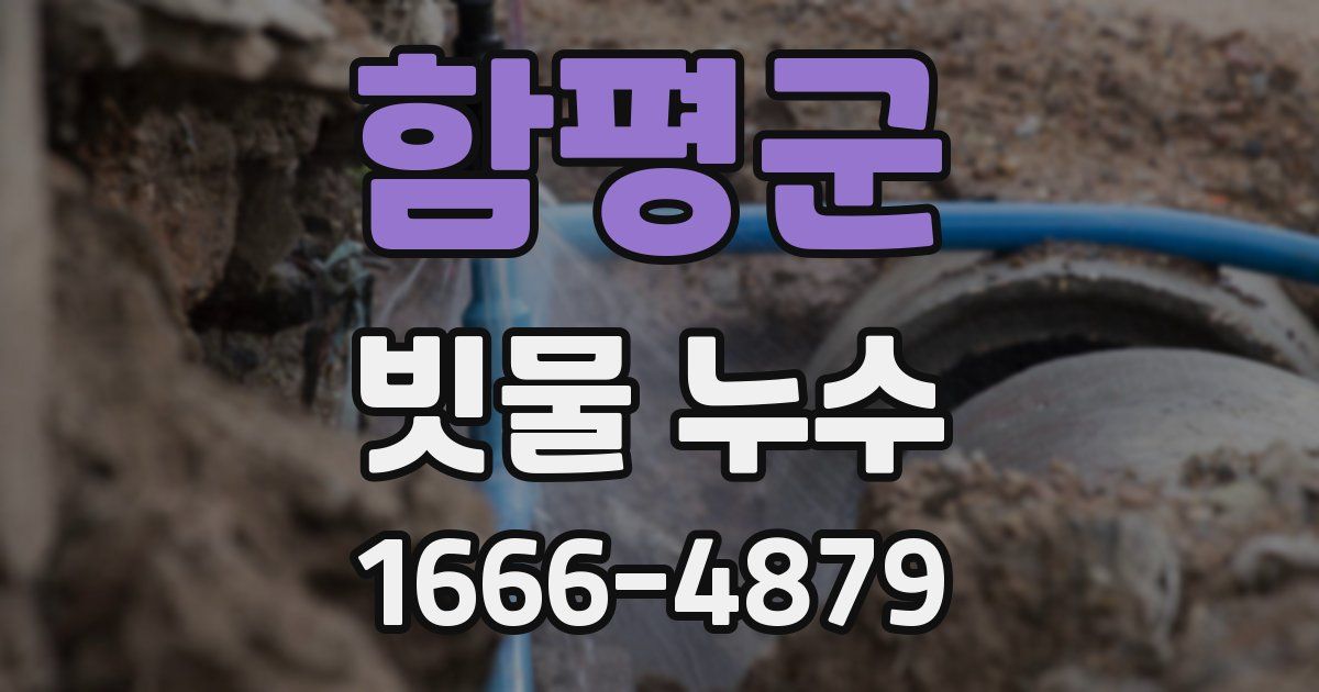 함평군 빗물 누수