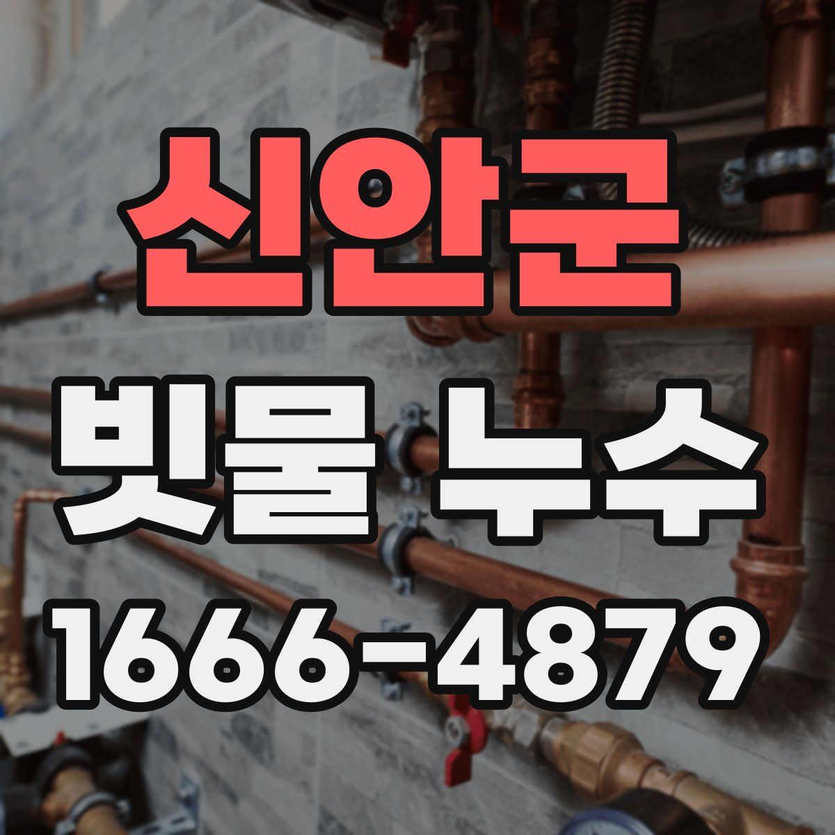 신안군 빗물 누수