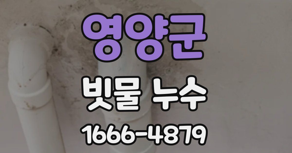 영양군 빗물 누수