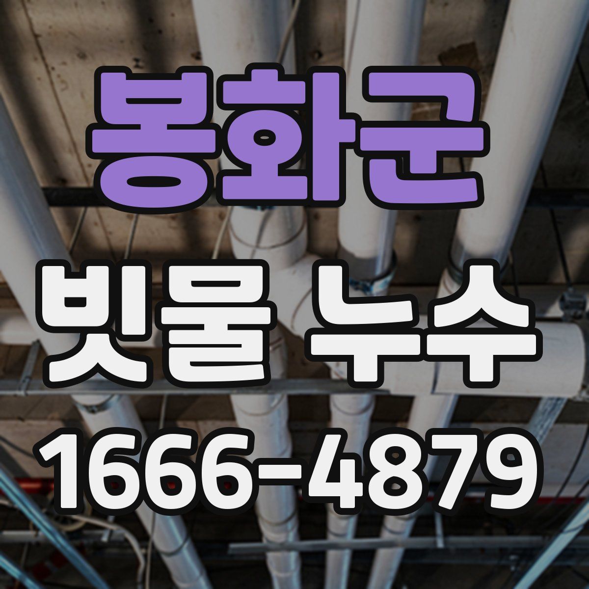 봉화군 빗물 누수