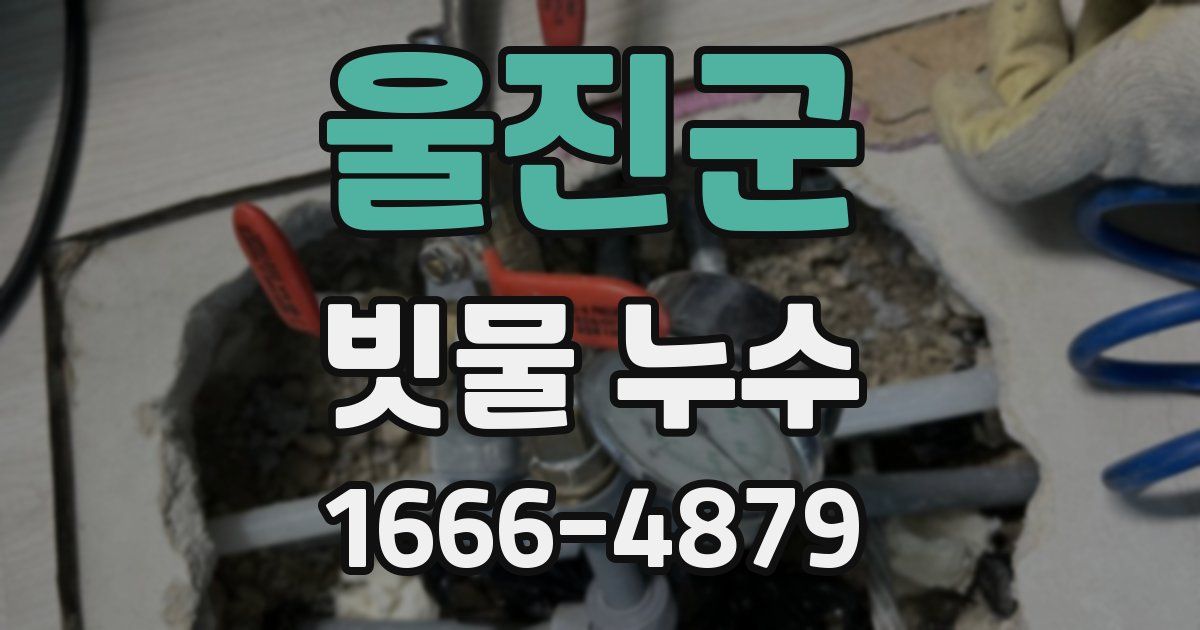 울진군 빗물 누수
