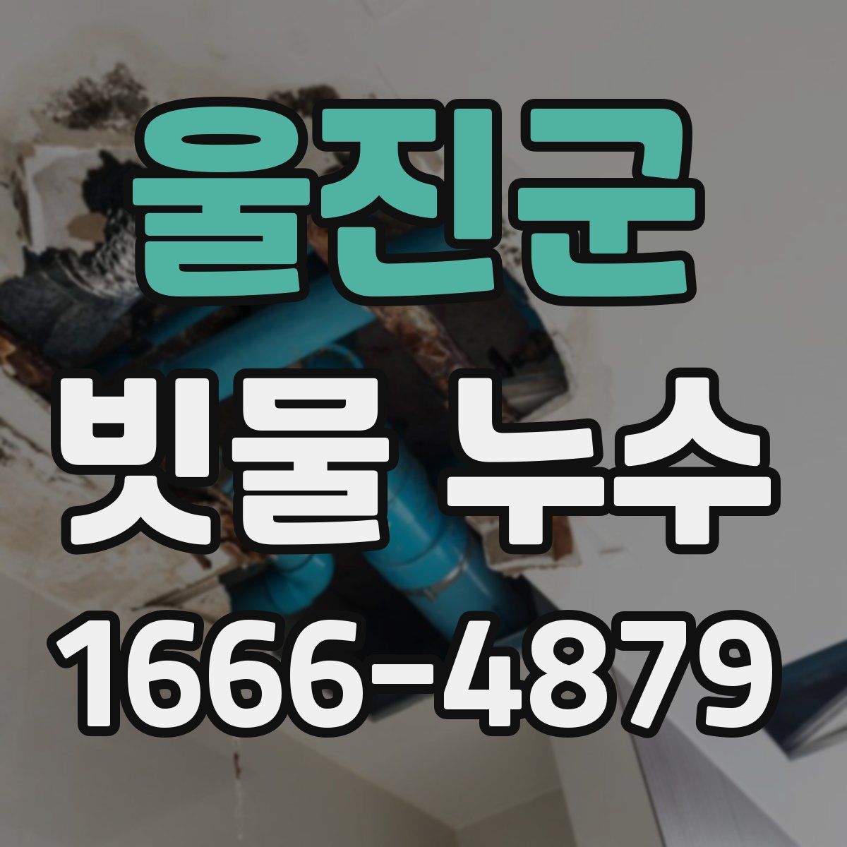 울진군 빗물 누수