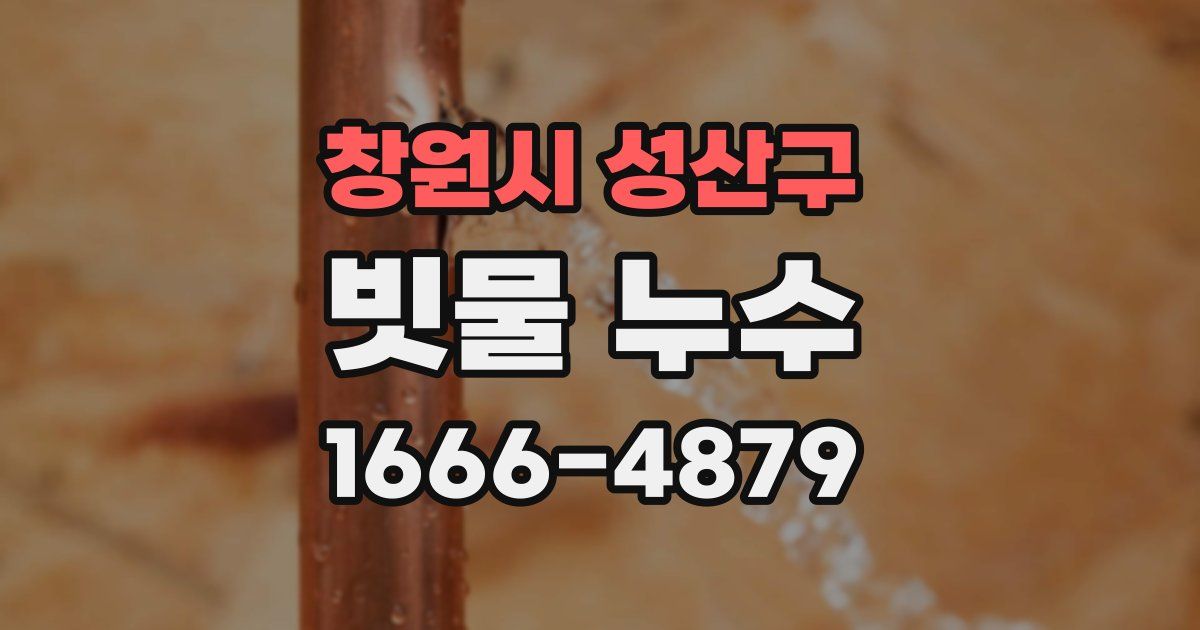 창원시 성산구 빗물 누수