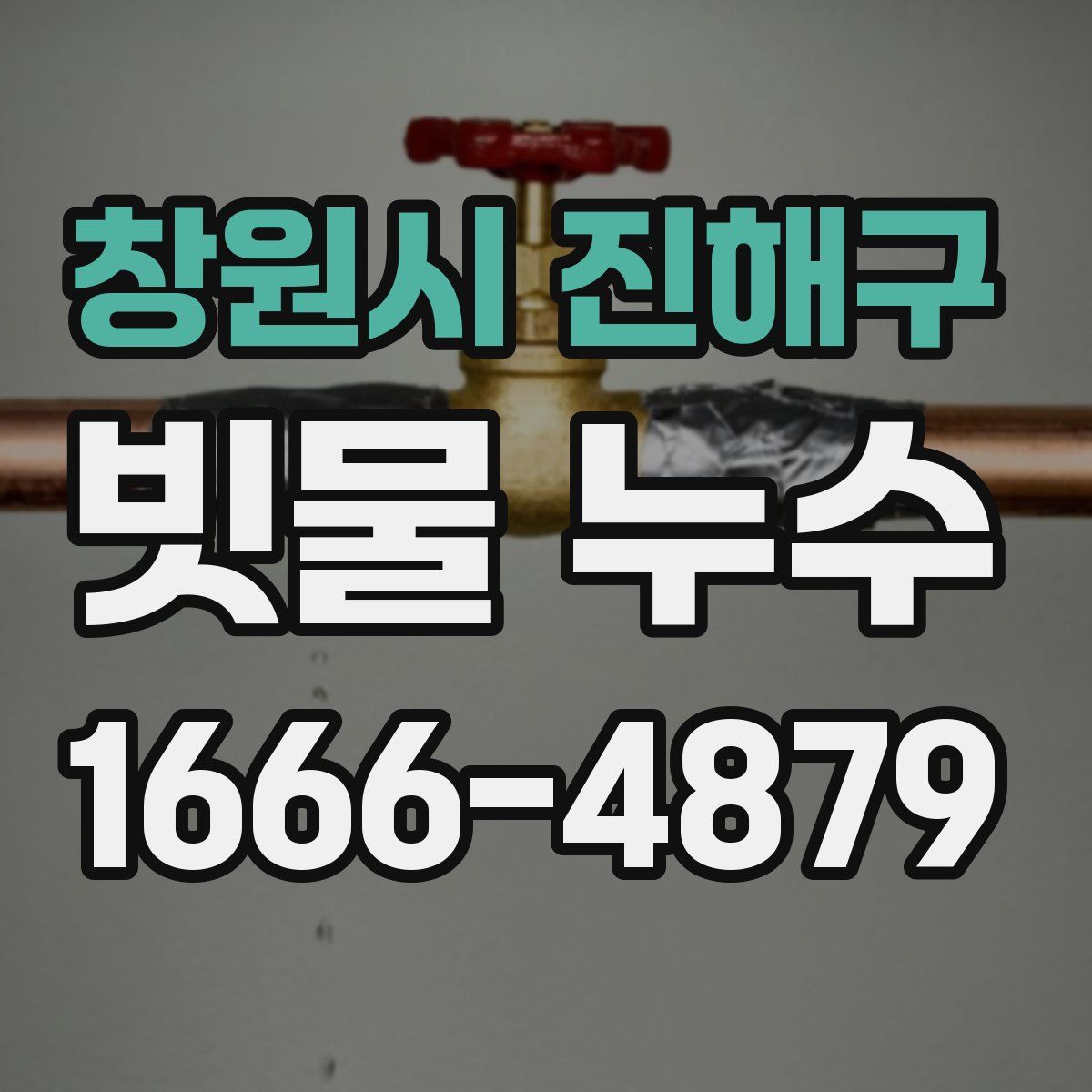 창원시 진해구 빗물 누수