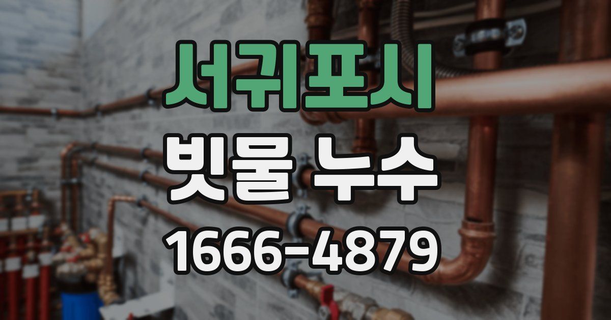 서귀포시 빗물 누수