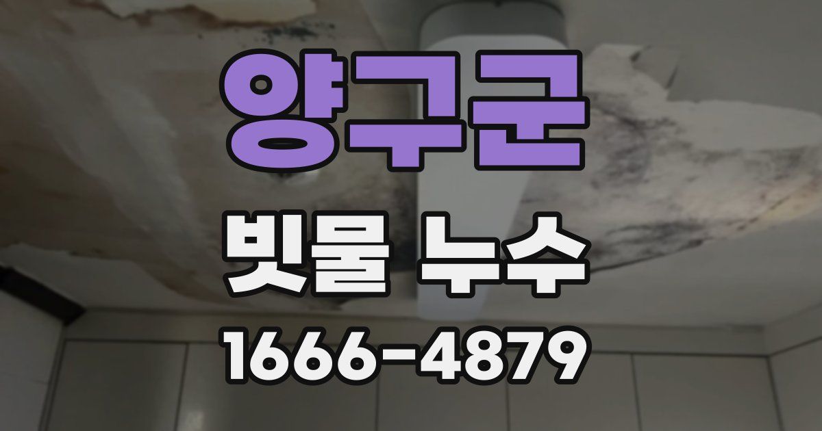 양구군 빗물 누수