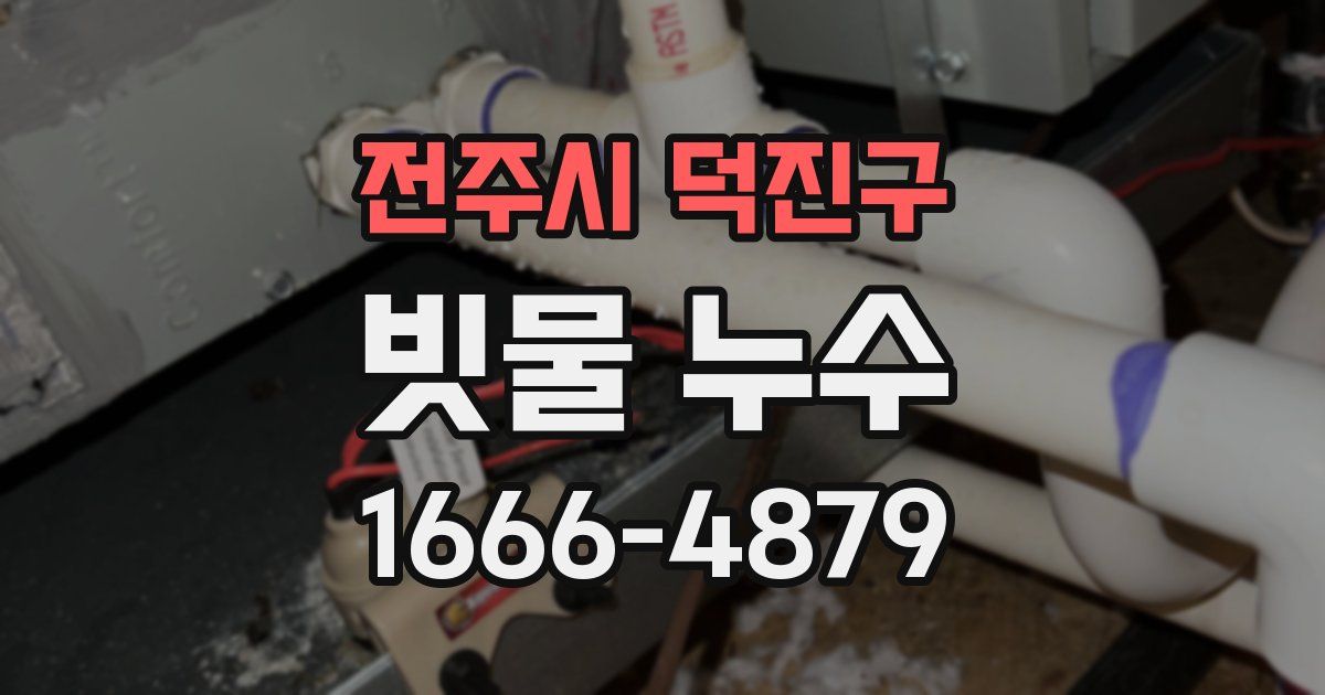 전주시 덕진구 빗물 누수