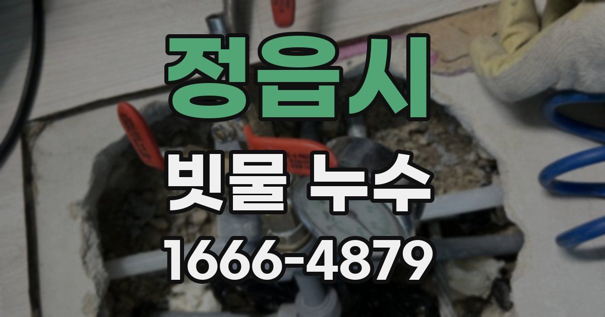 정읍시 빗물 누수