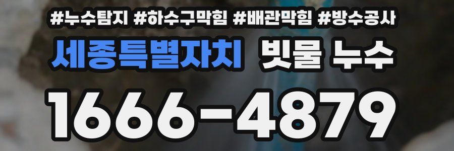 세종특별자치 빗물 누수