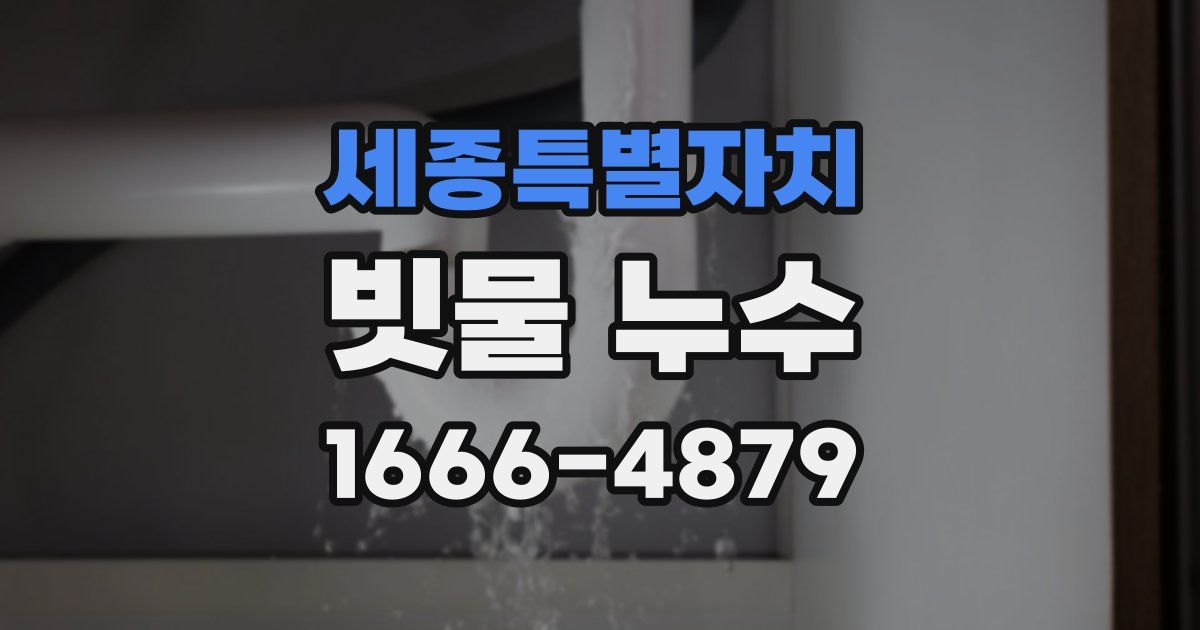 세종특별자치 빗물 누수