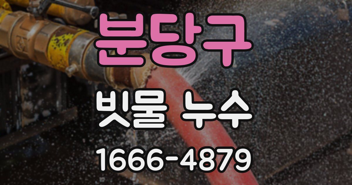 분당구 빗물 누수