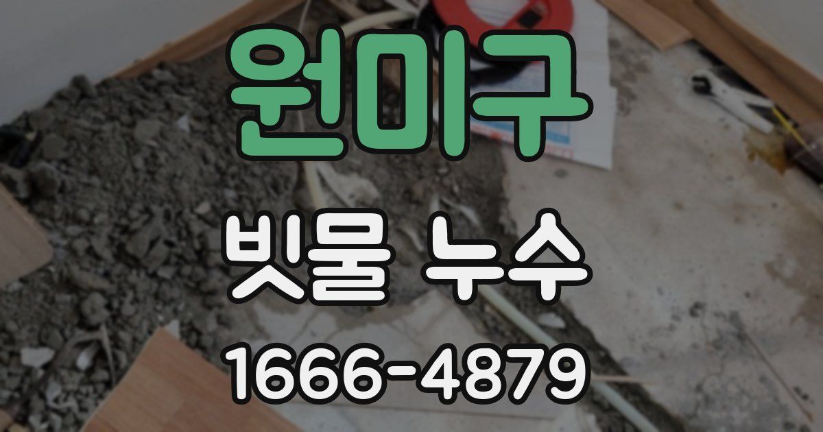 원미구 빗물 누수