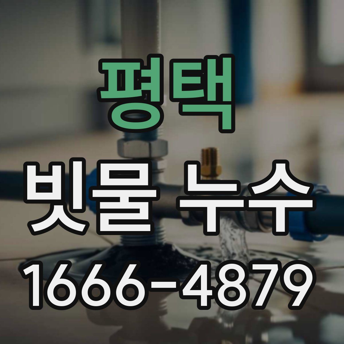 평택 빗물 누수
