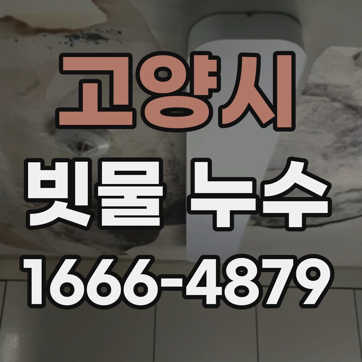 고양시 빗물 누수