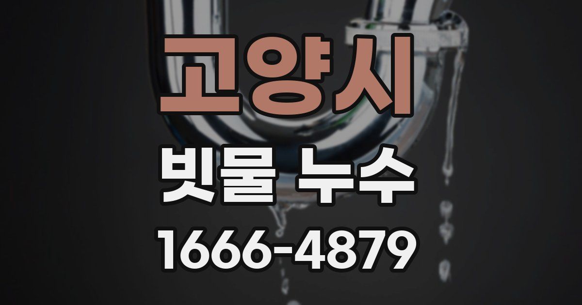 고양시 빗물 누수