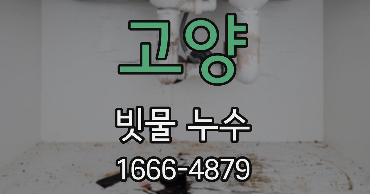 고양 빗물 누수