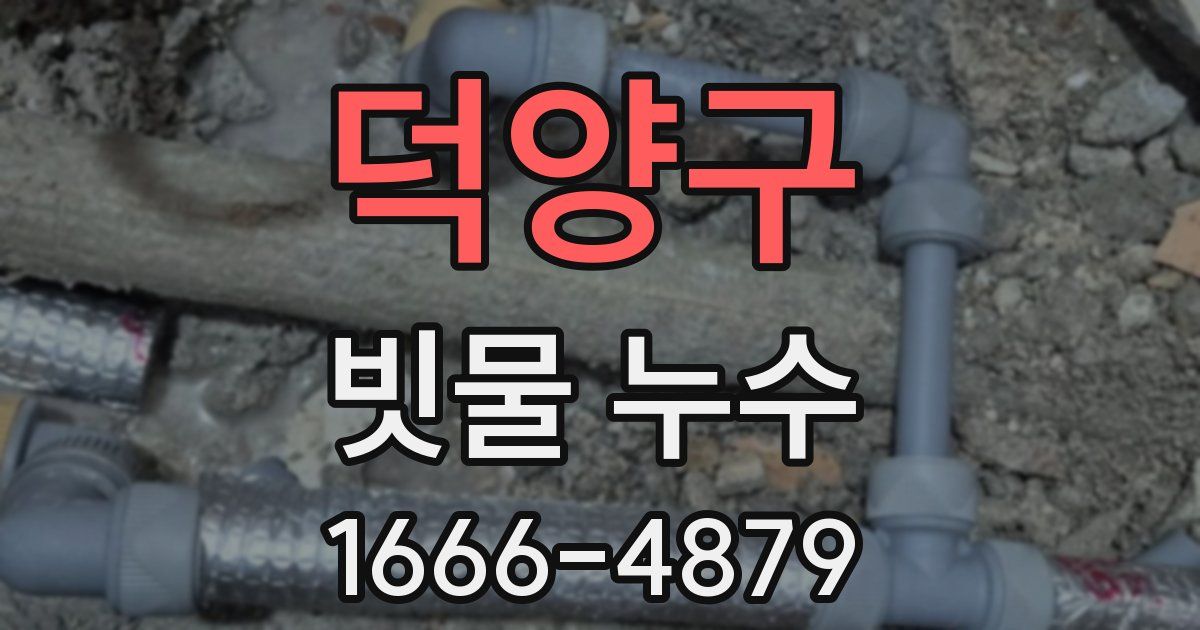 덕양구 빗물 누수