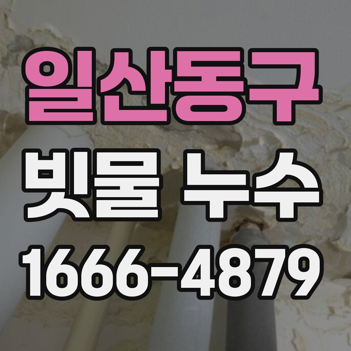 일산동구 빗물 누수