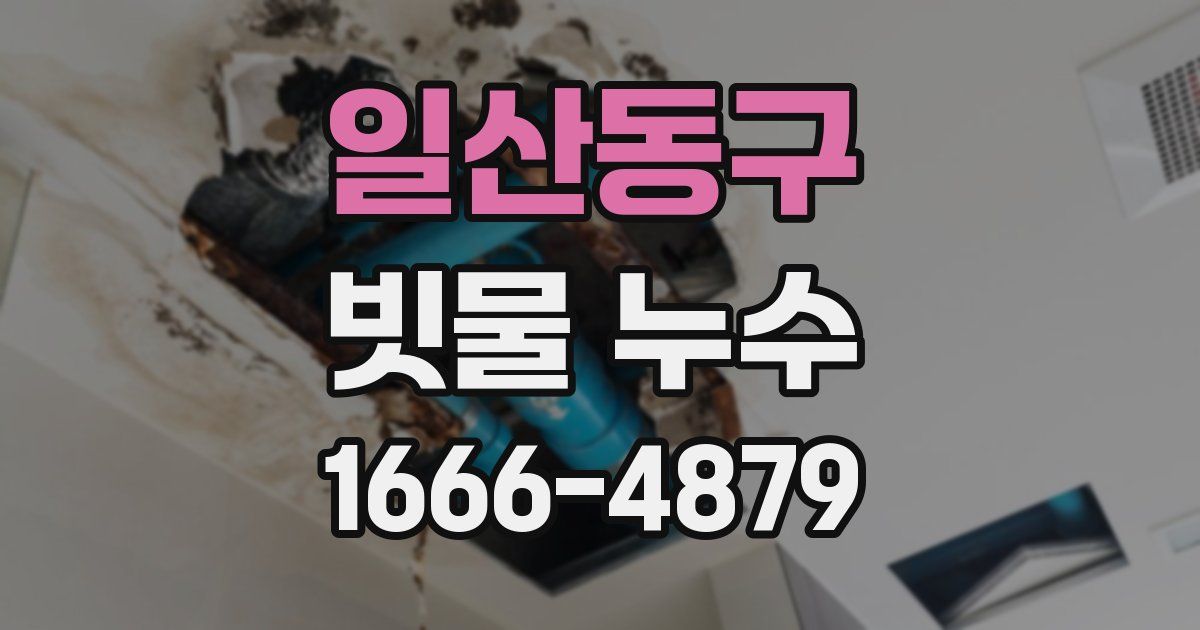 일산동구 빗물 누수