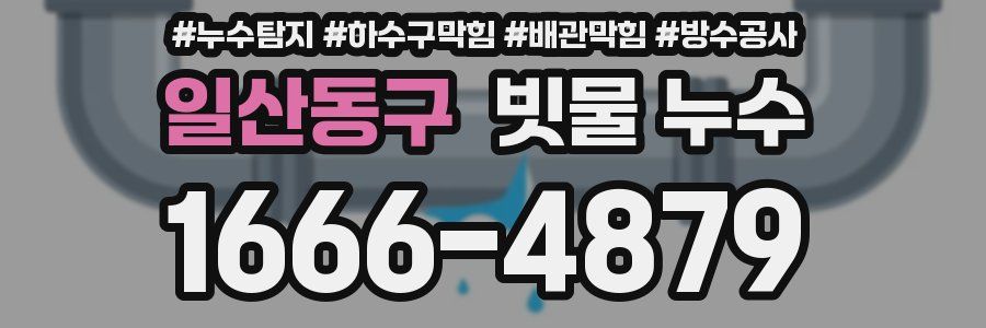 일산동구 빗물 누수