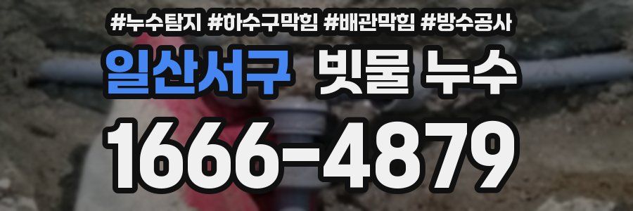 일산서구 빗물 누수