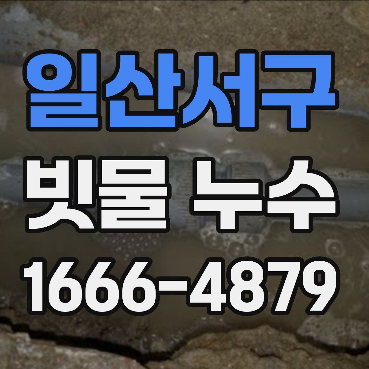일산서구 빗물 누수
