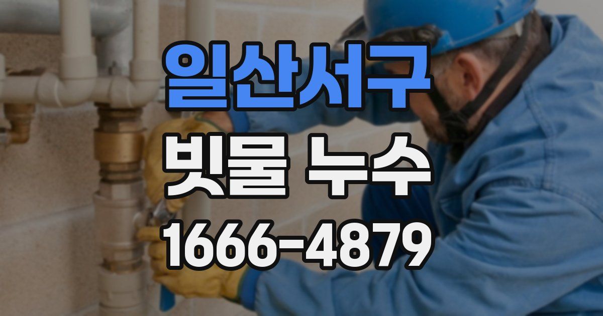 일산서구 빗물 누수