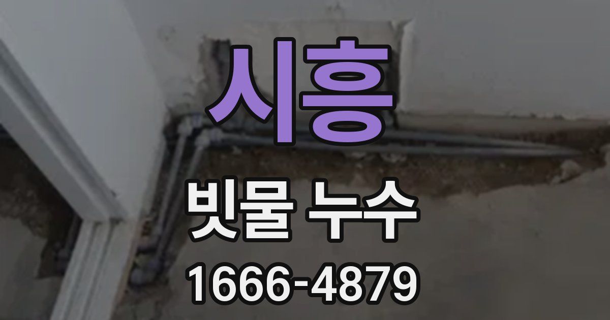 시흥 빗물 누수