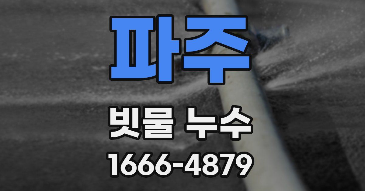 파주 빗물 누수
