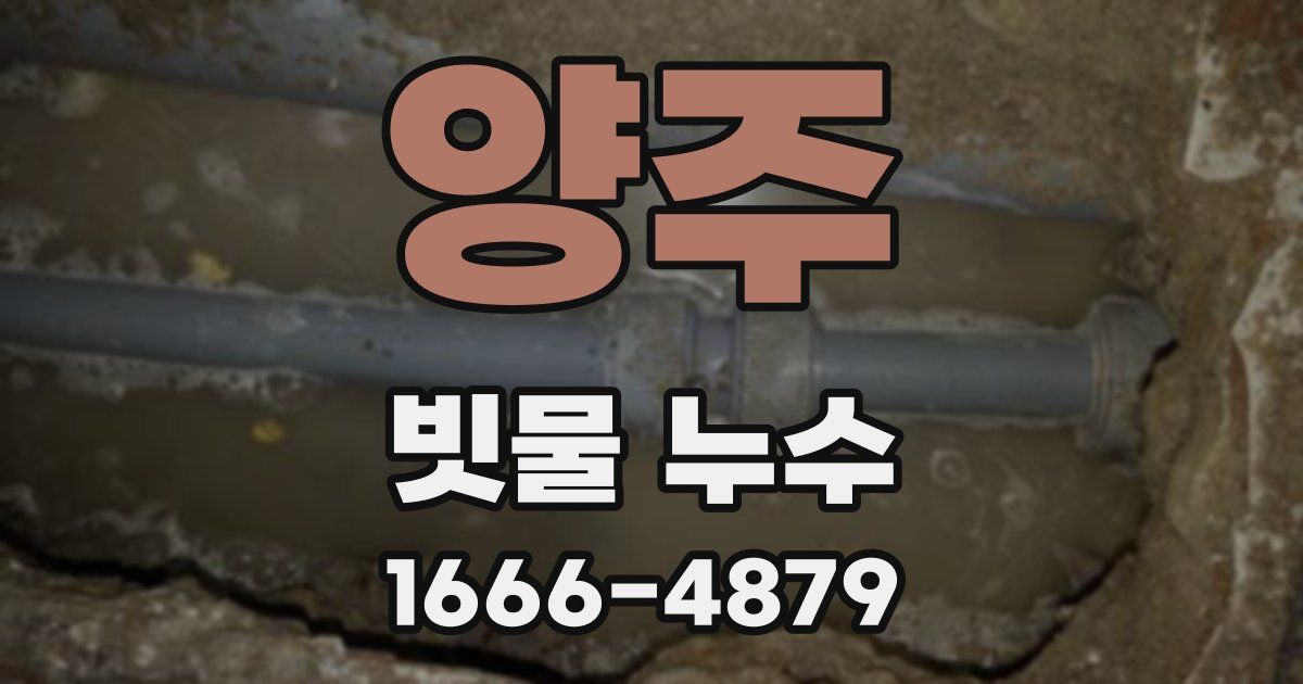 양주 빗물 누수
