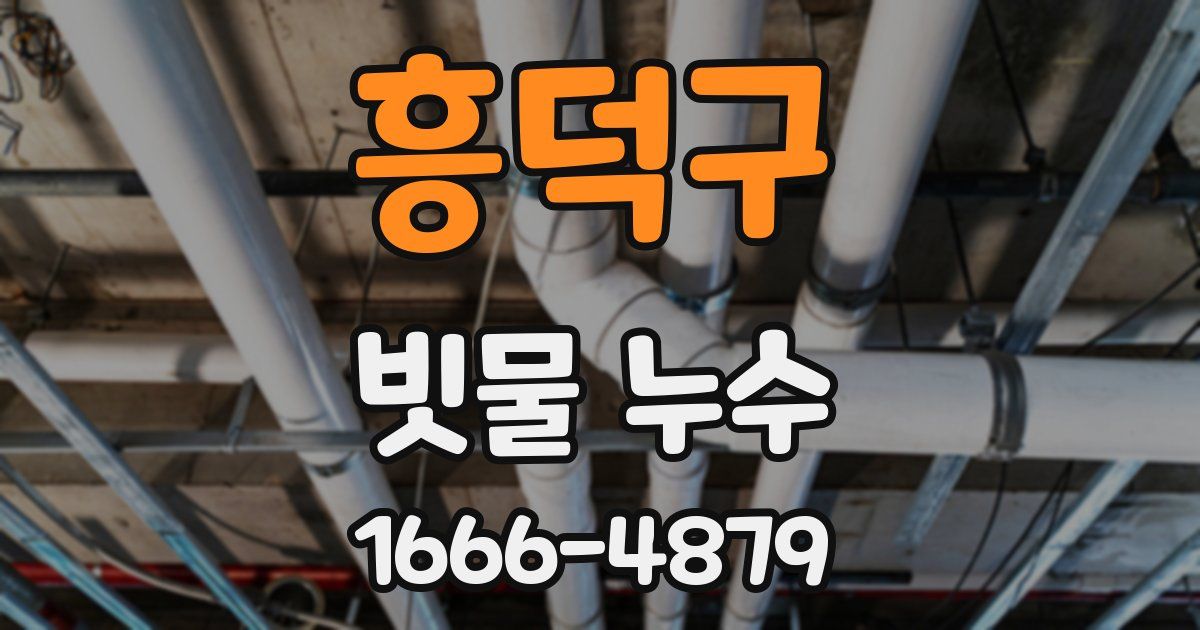 흥덕구 빗물 누수