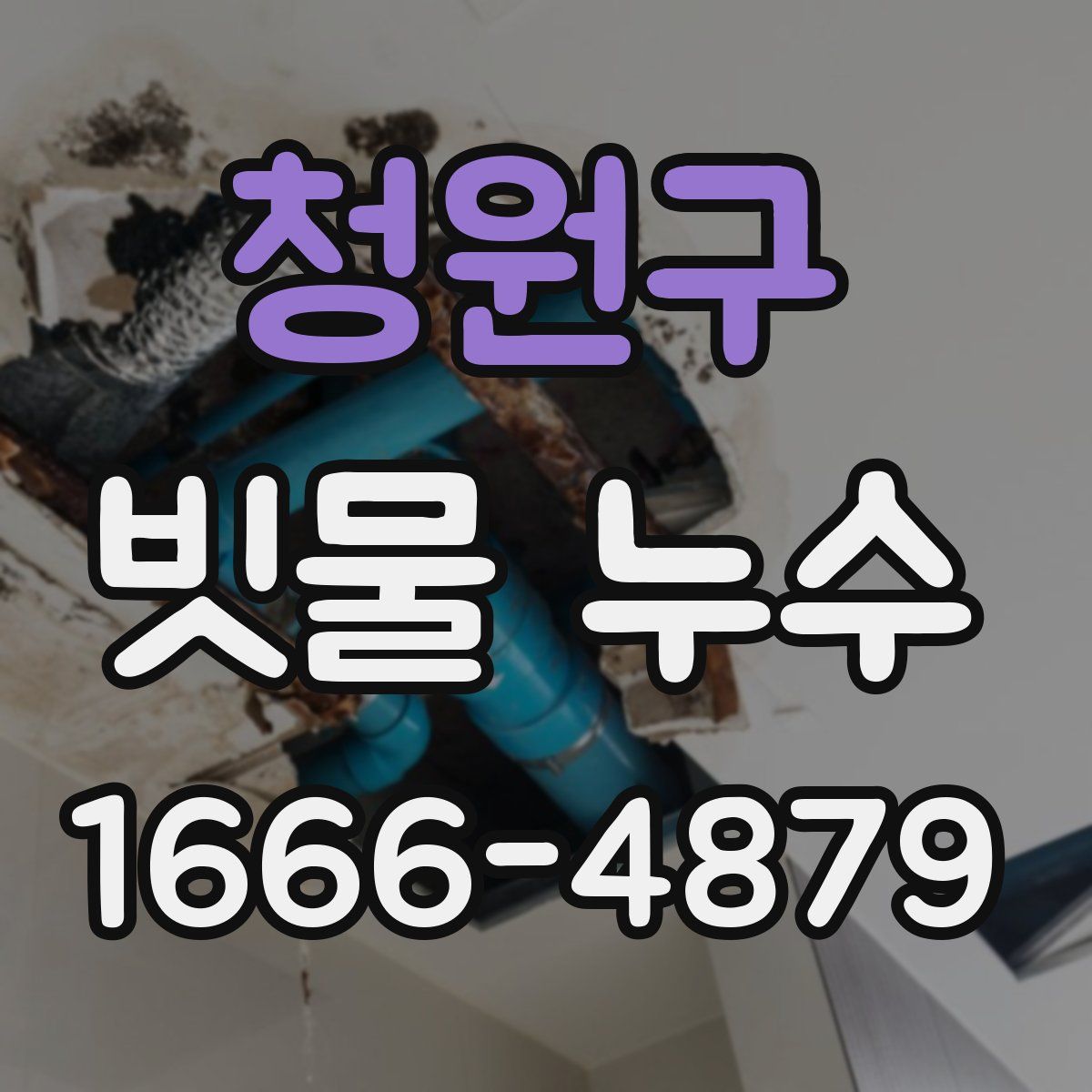 청원구 빗물 누수