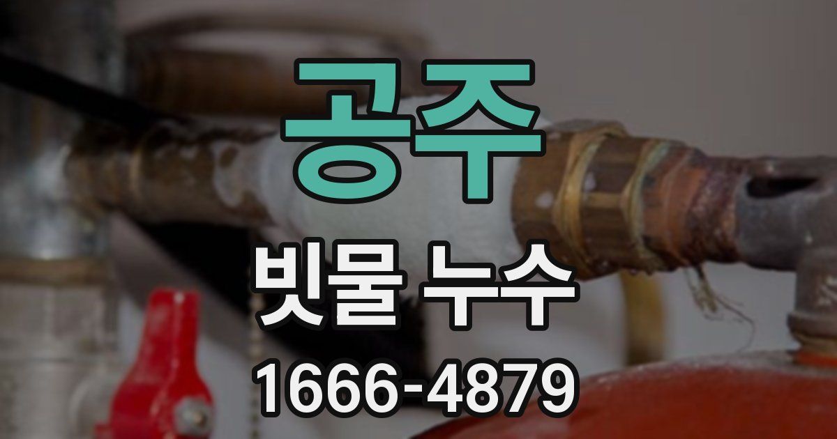 공주 빗물 누수