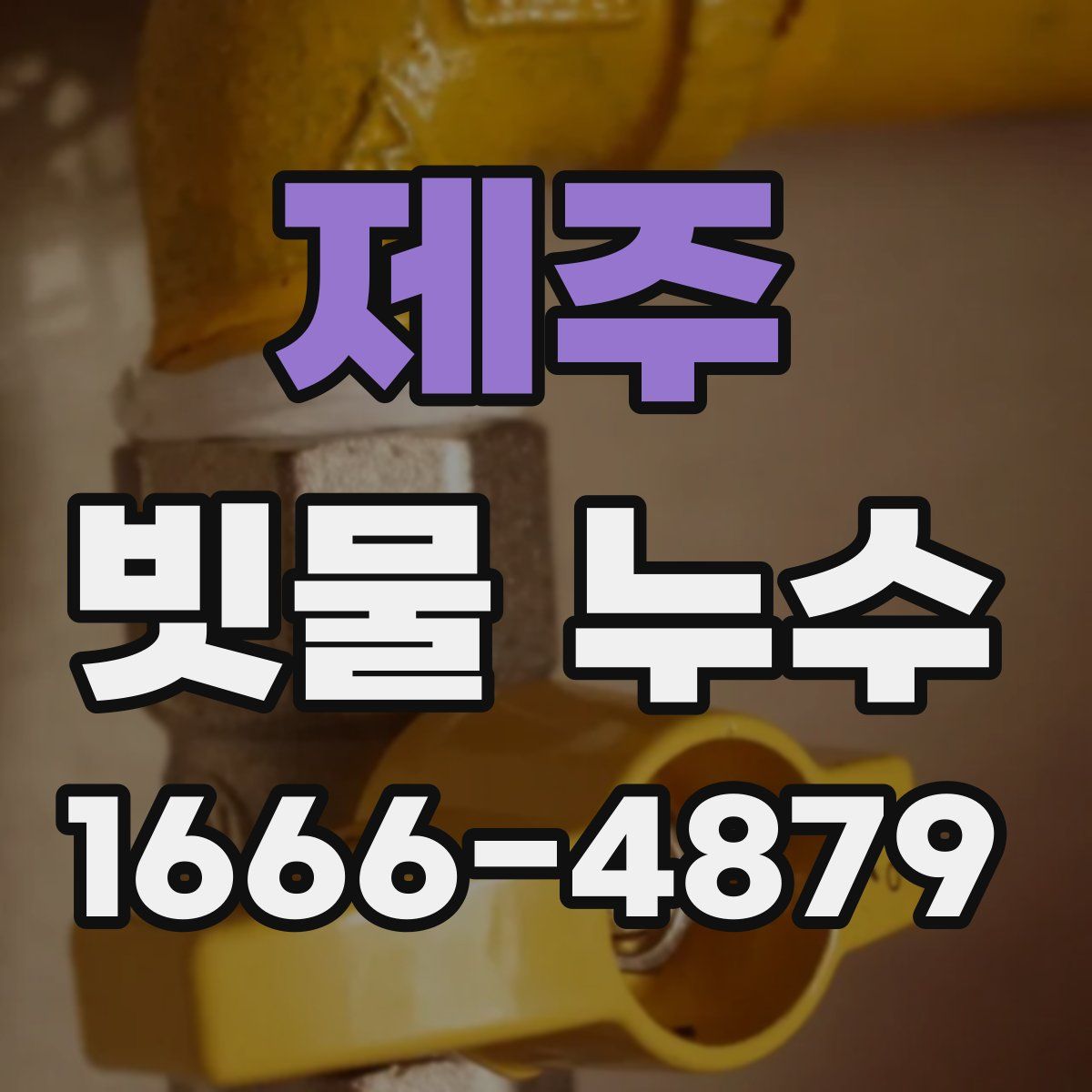 제주 빗물 누수