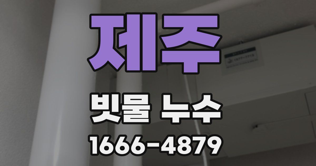 제주 빗물 누수
