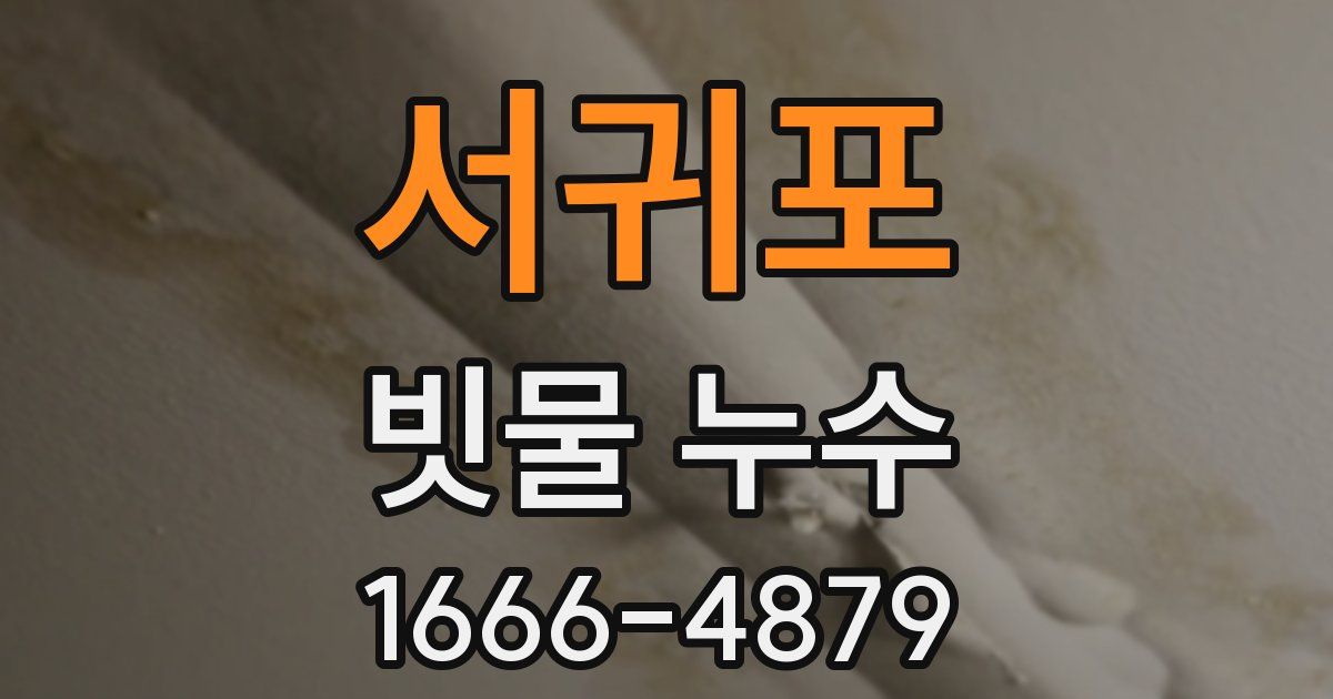 서귀포 빗물 누수