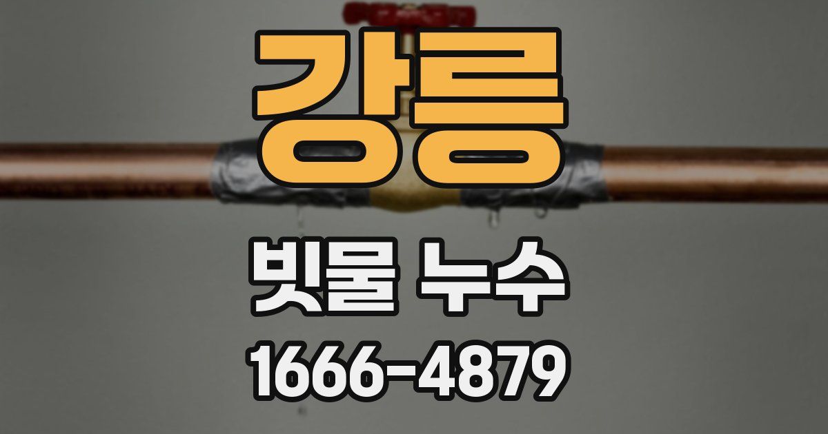 강릉 빗물 누수