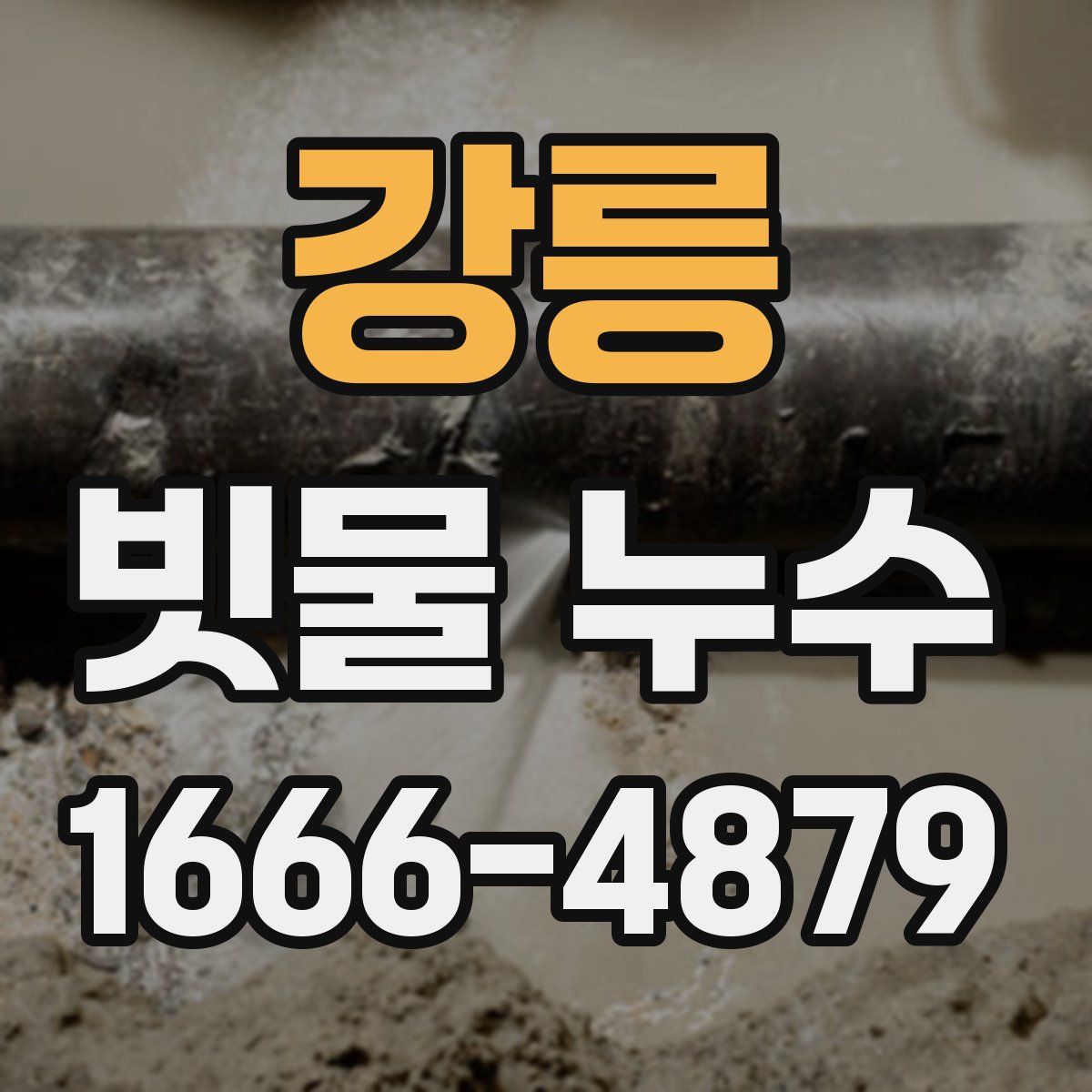 강릉 빗물 누수