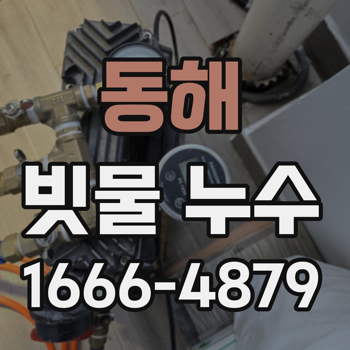 동해 빗물 누수