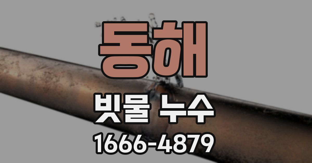 동해 빗물 누수