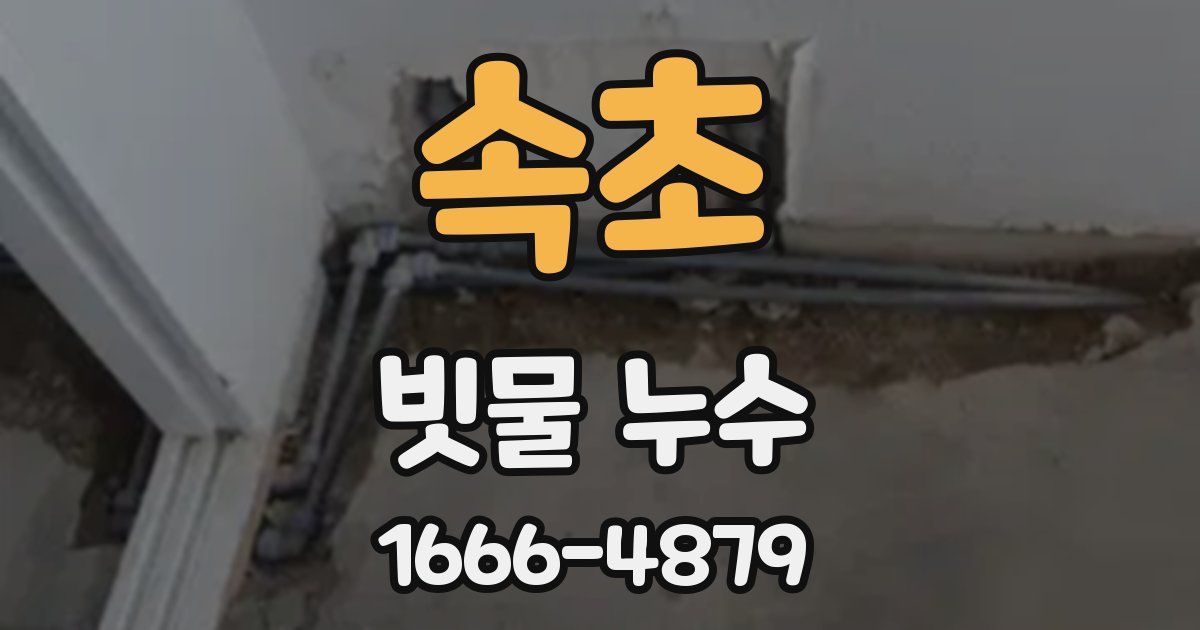 속초 빗물 누수