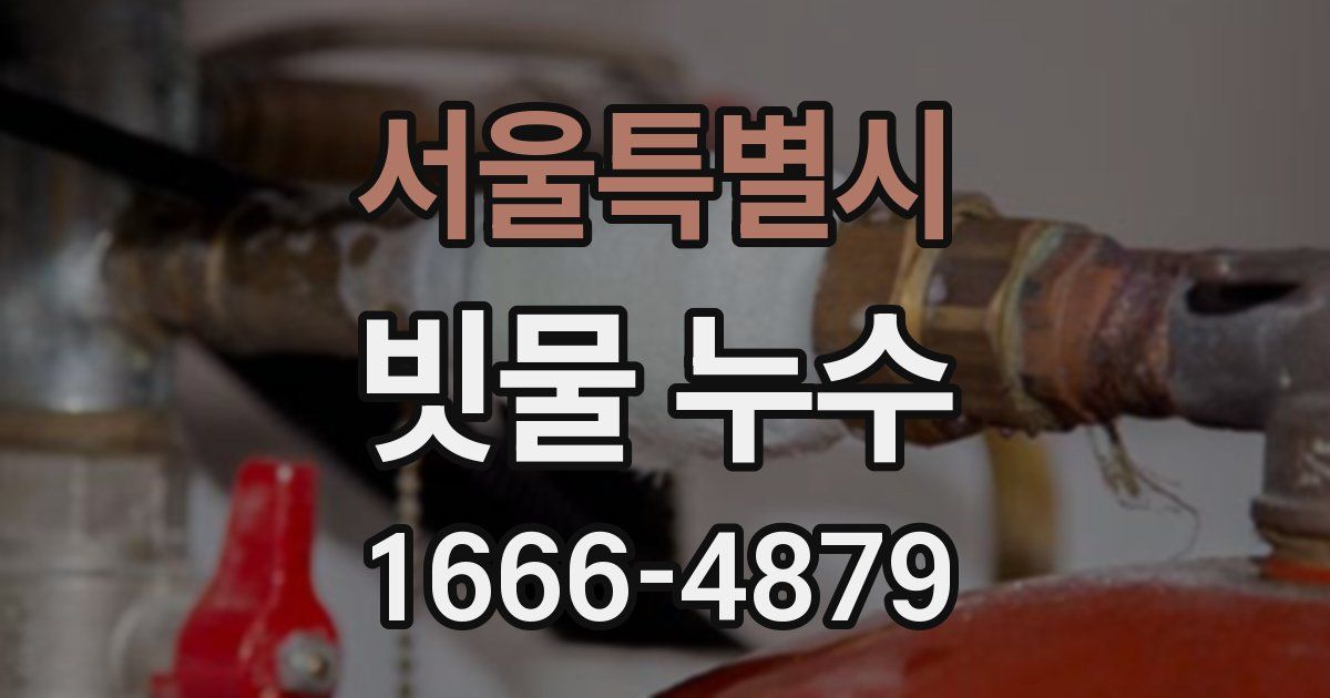 서울특별시 빗물 누수