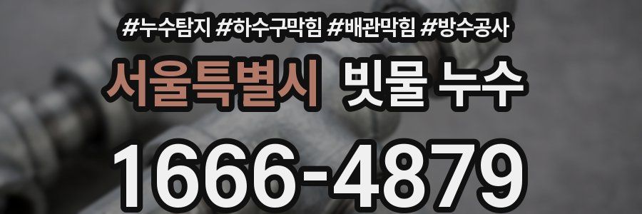 서울특별시 빗물 누수