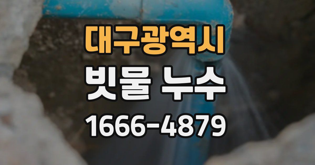 대구광역시 빗물 누수