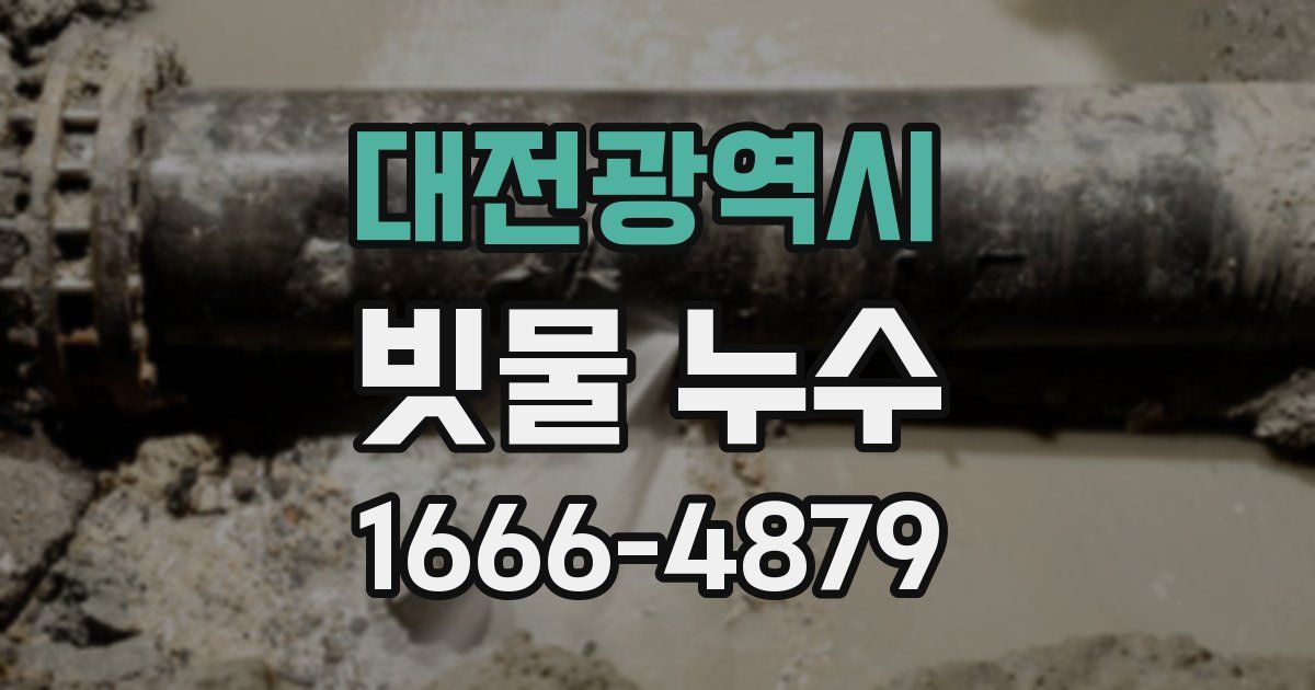 대전광역시 빗물 누수