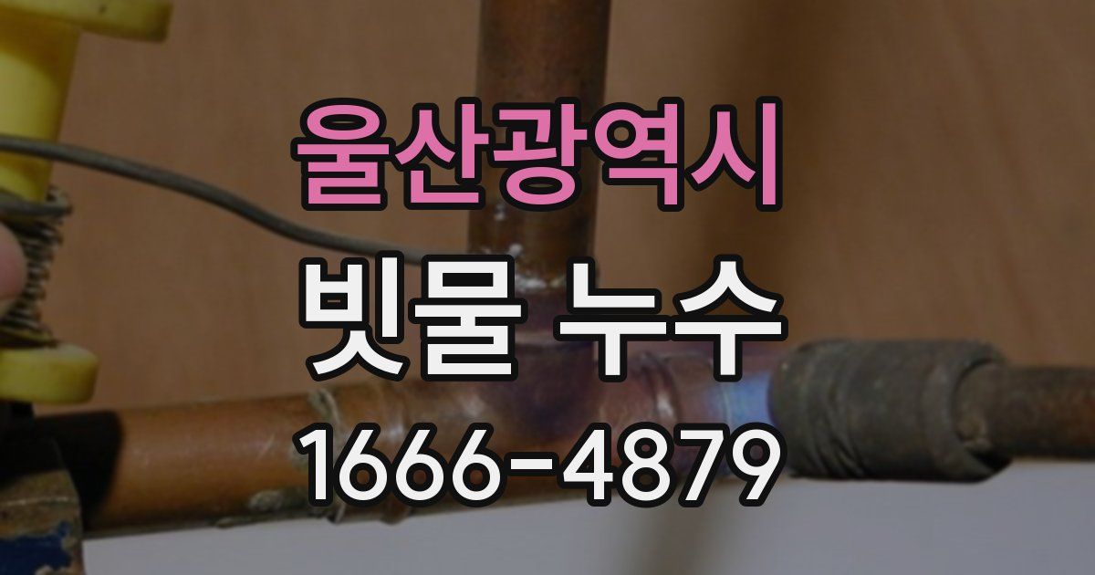 울산광역시 빗물 누수