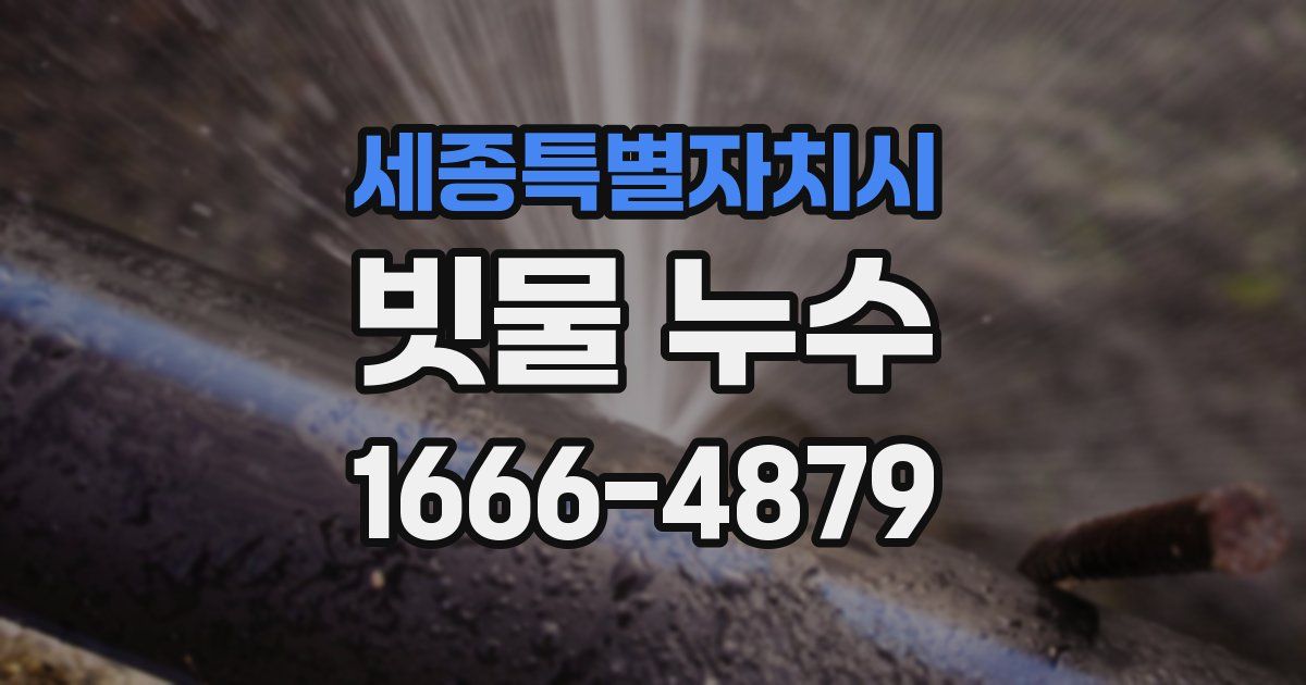 세종특별자치시 빗물 누수